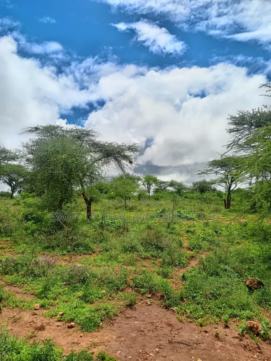 1200 Acres of Virgin Land in Kambu Makueni Is for Sale in Mtito Andei
