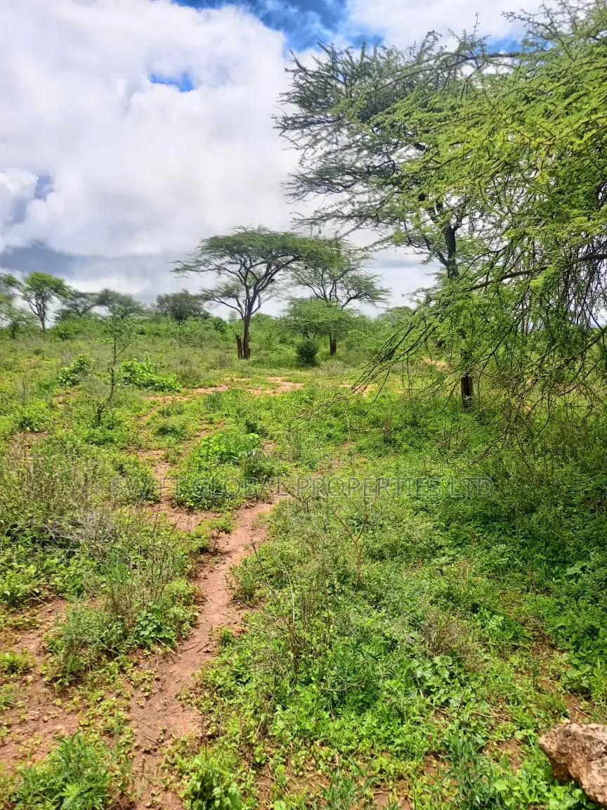 1200 Acres of Virgin Land in Kambu Makueni Is for Sale in Mtito Andei