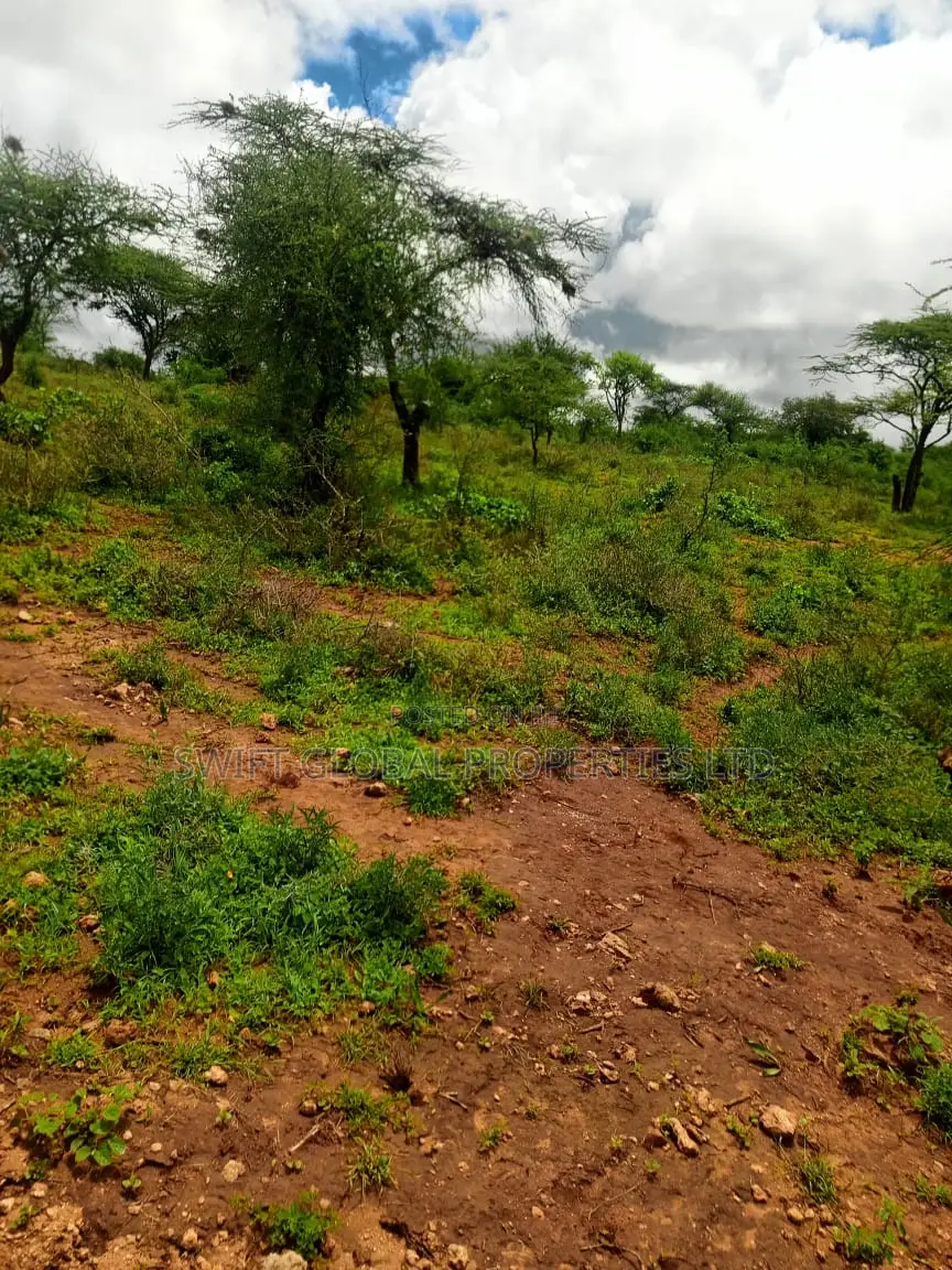 1200 Acres of Virgin Land in Kambu Makueni Is for Sale in Mtito Andei