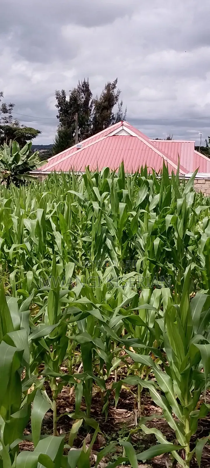Plot for Sale in Kiserian 300mts From Tarmac in Ol Keri