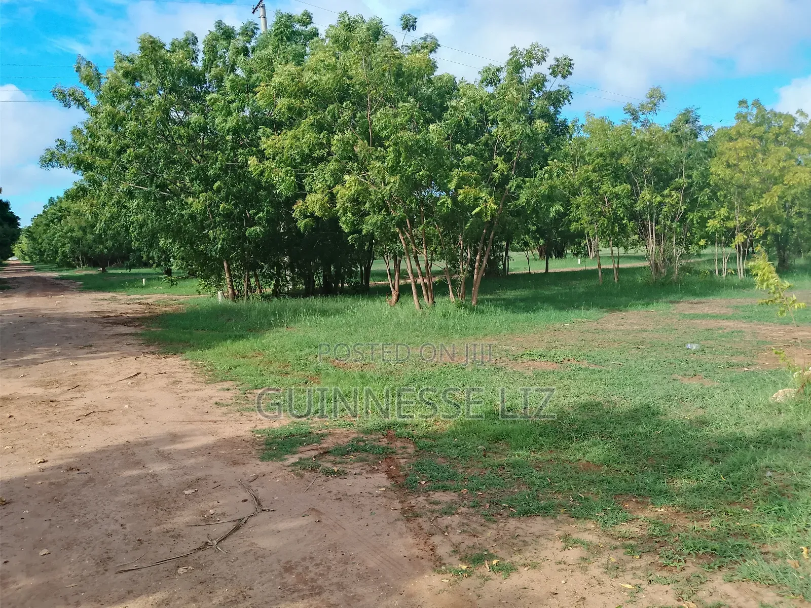Kuruwitu Vipingo 5 Acres for Sale a Walk Beach in Vipingo
