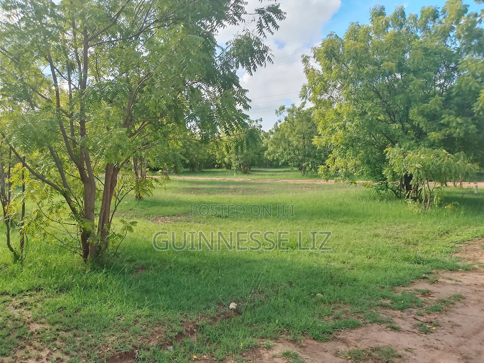 Kuruwitu Vipingo 5 Acres for Sale a Walk Beach in Vipingo