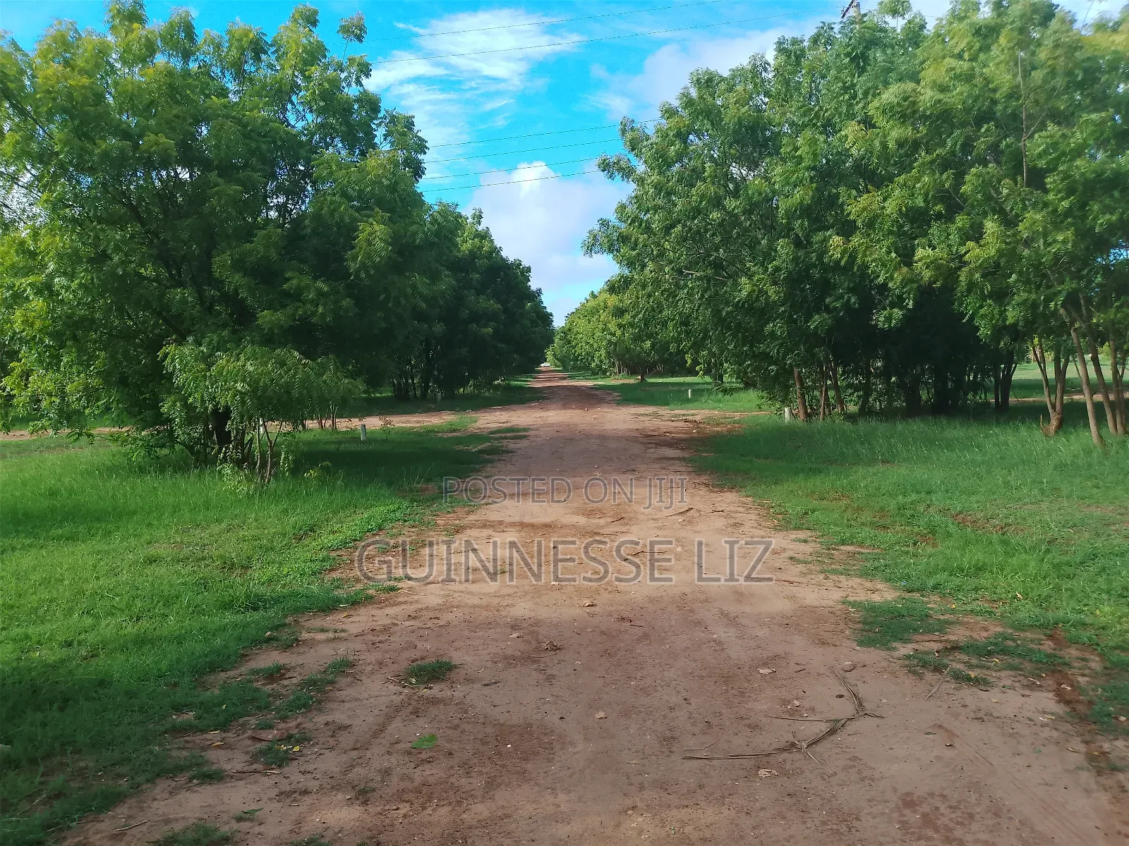 Kuruwitu Vipingo 5 Acres for Sale a Walk Beach in Vipingo