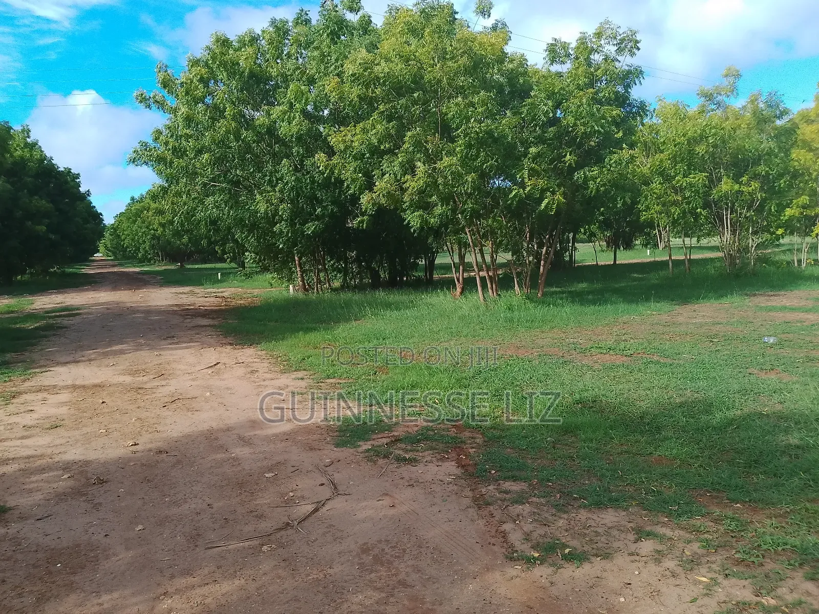 Kuruwitu Vipingo 5 Acres for Sale a Walk Beach in Vipingo
