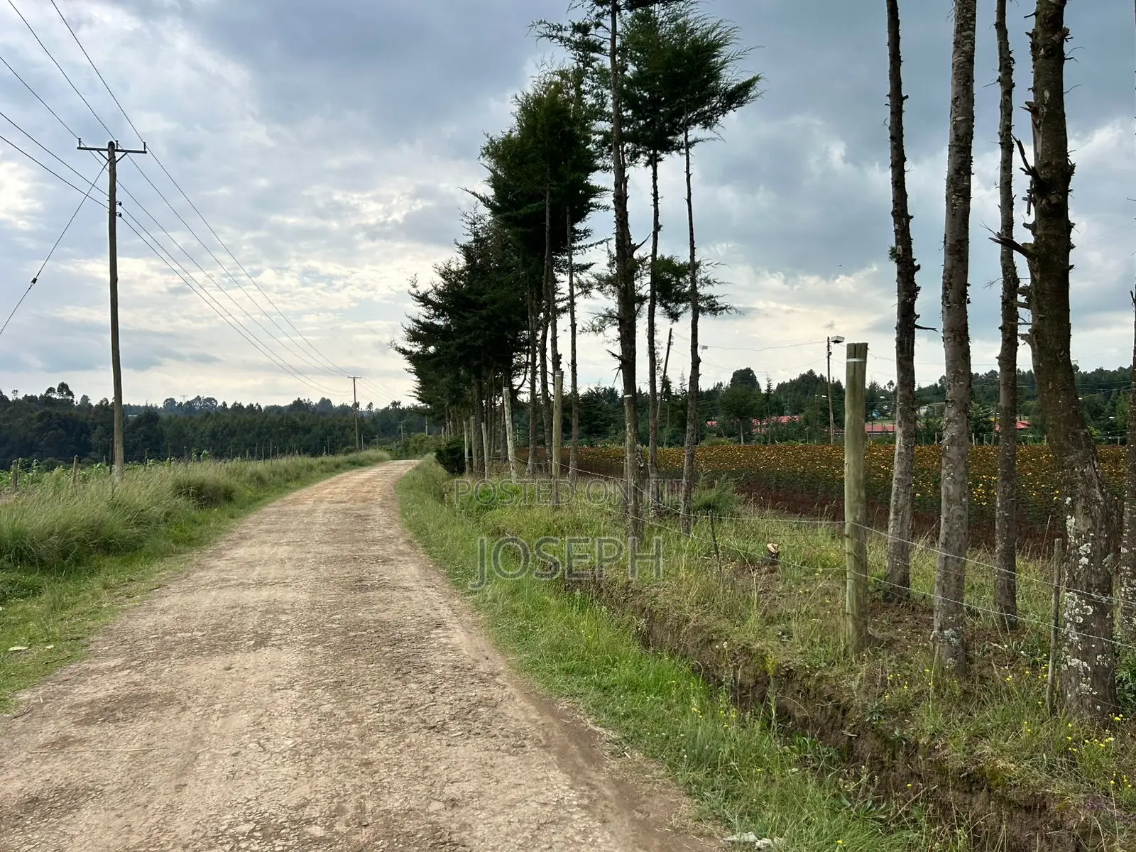 Riverfront Farm on Murungaru with Borehole: Unbeatable Opportunity in North Kinangop