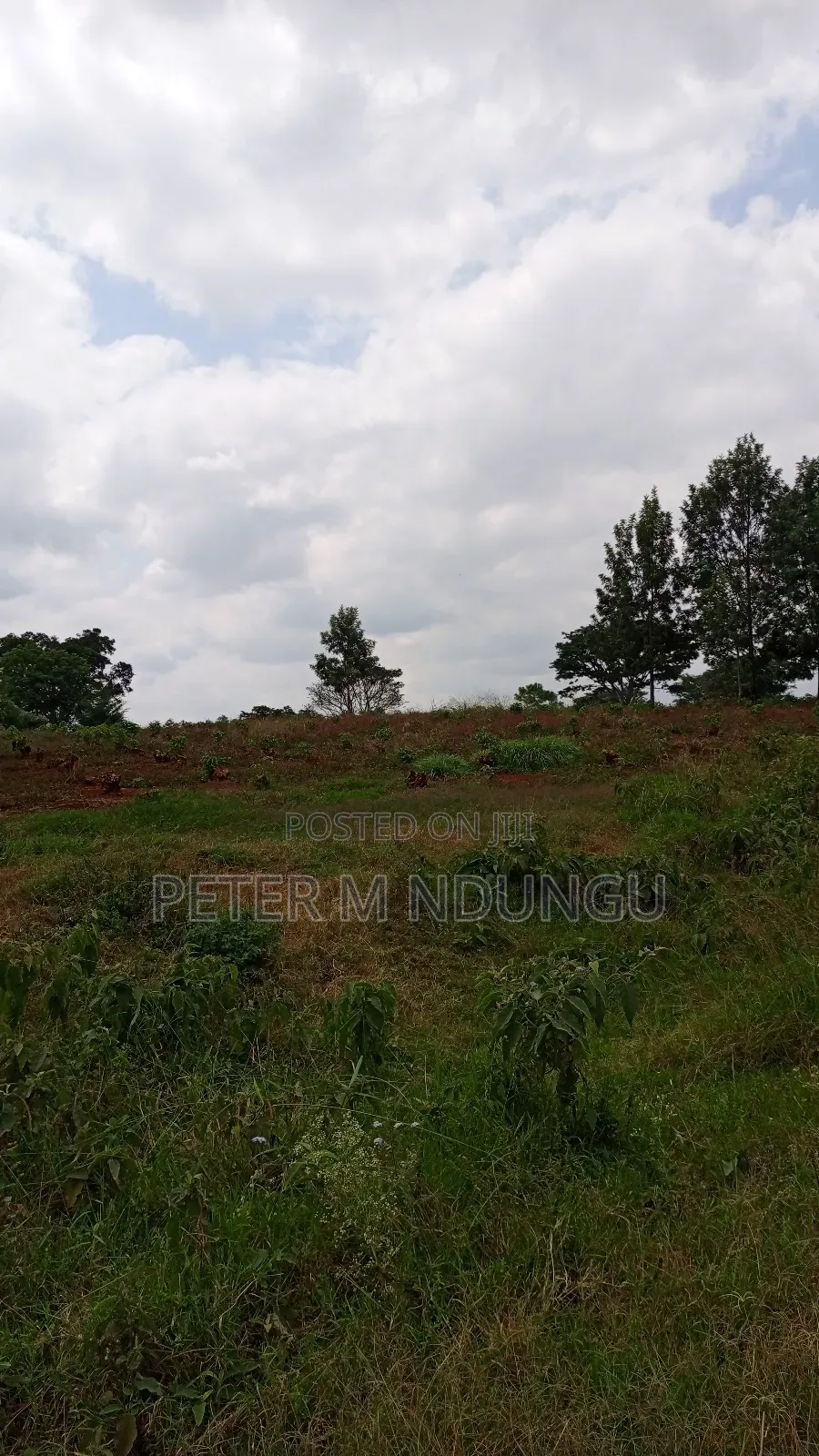 Prime Land on Sale, 55 Acres in Kiambu / Kiambu 