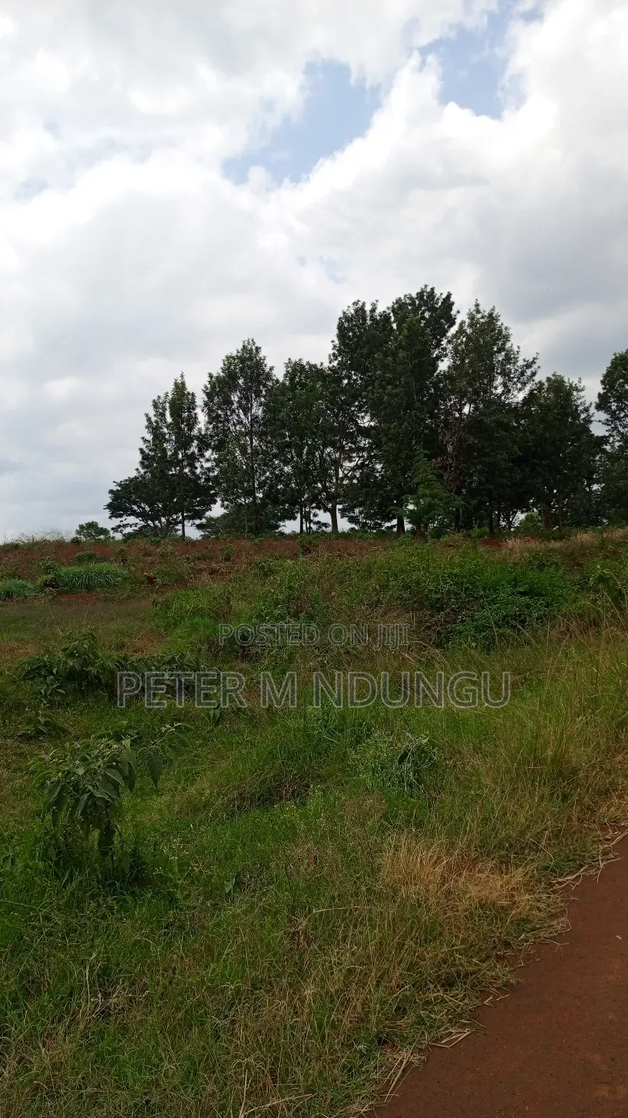 Prime Land on Sale, 55 Acres in Kiambu / Kiambu 