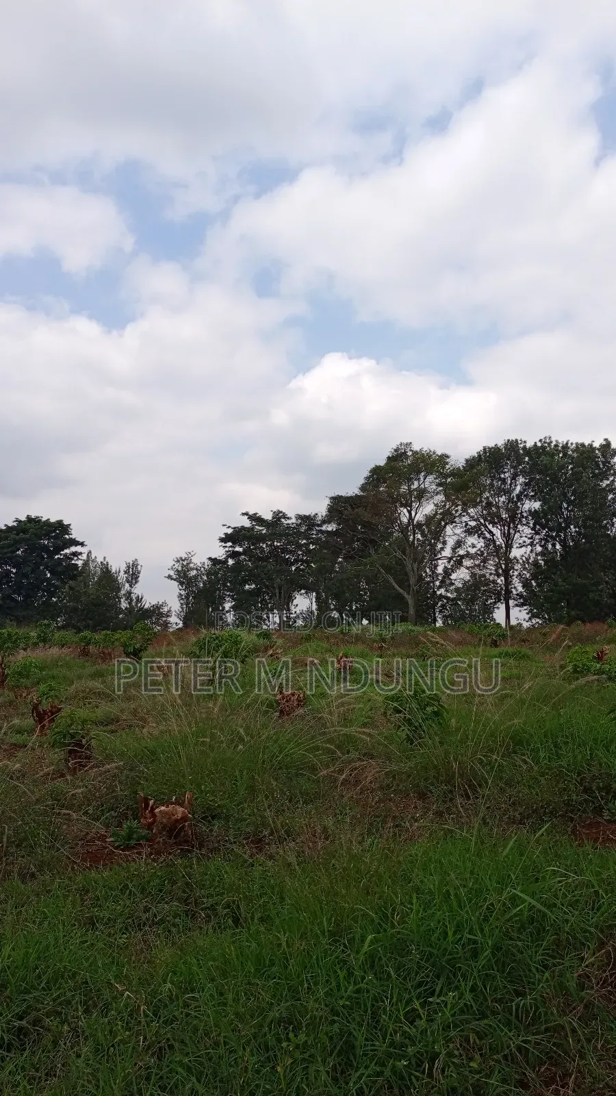 Prime Land on Sale, 55 Acres in Kiambu / Kiambu 