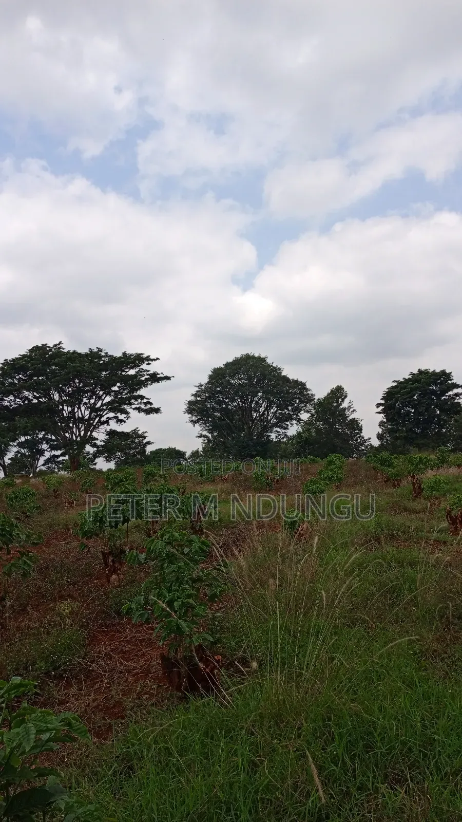 Prime Land on Sale, 55 Acres in Kiambu / Kiambu 