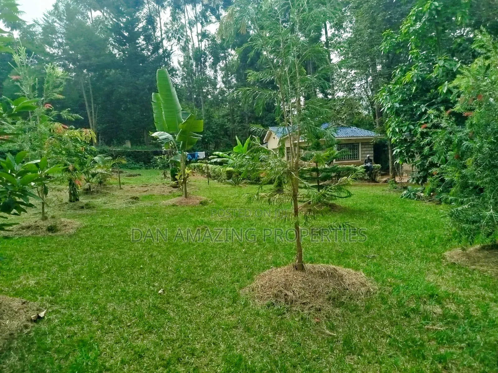 1 Acre With 2bdr Bungalow Plus DSQ Karen Windridge for Sale in Karen