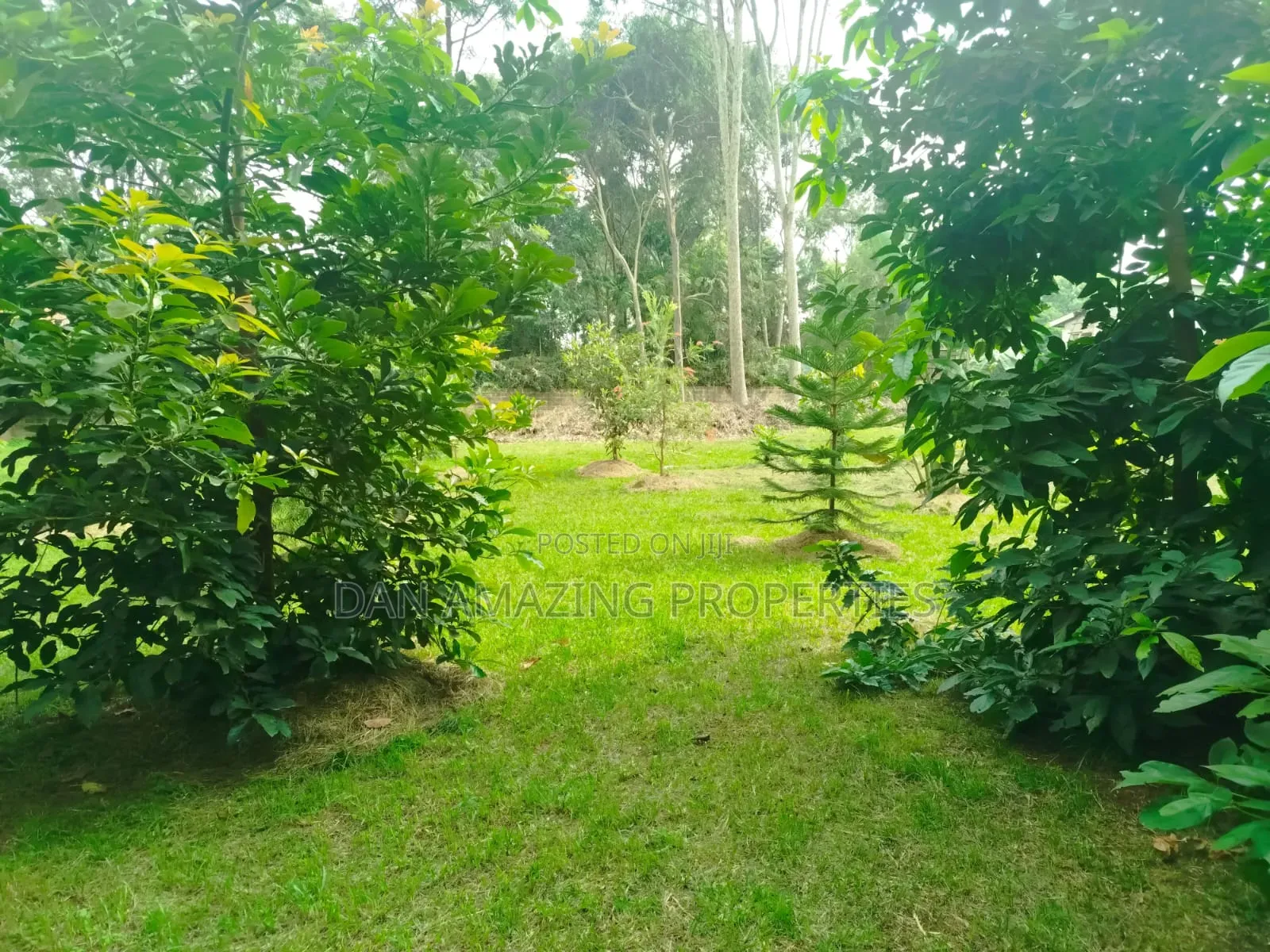 1 Acre With 2bdr Bungalow Plus DSQ Karen Windridge for Sale in Karen