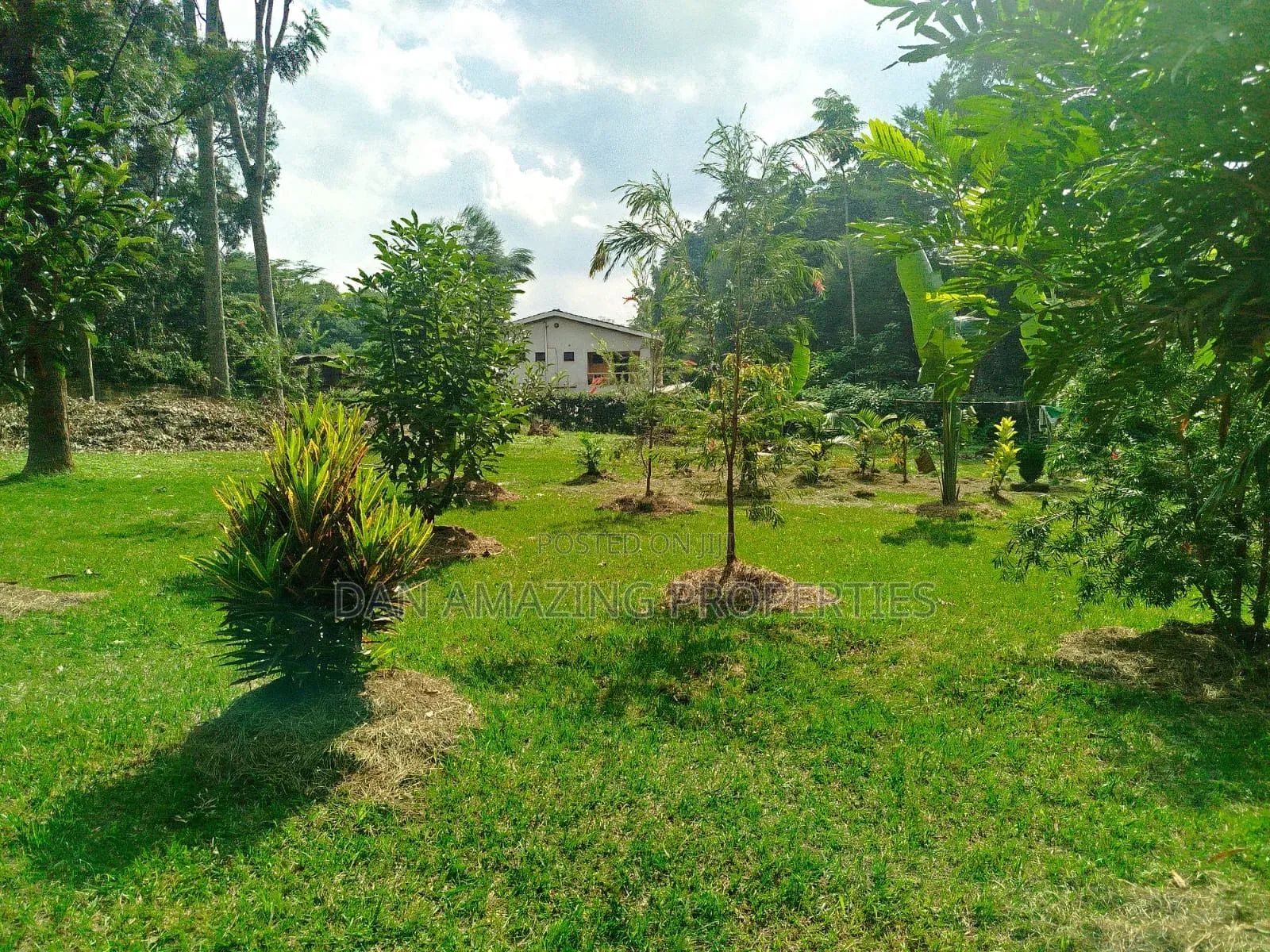1 Acre With 2bdr Bungalow Plus DSQ Karen Windridge for Sale in Karen