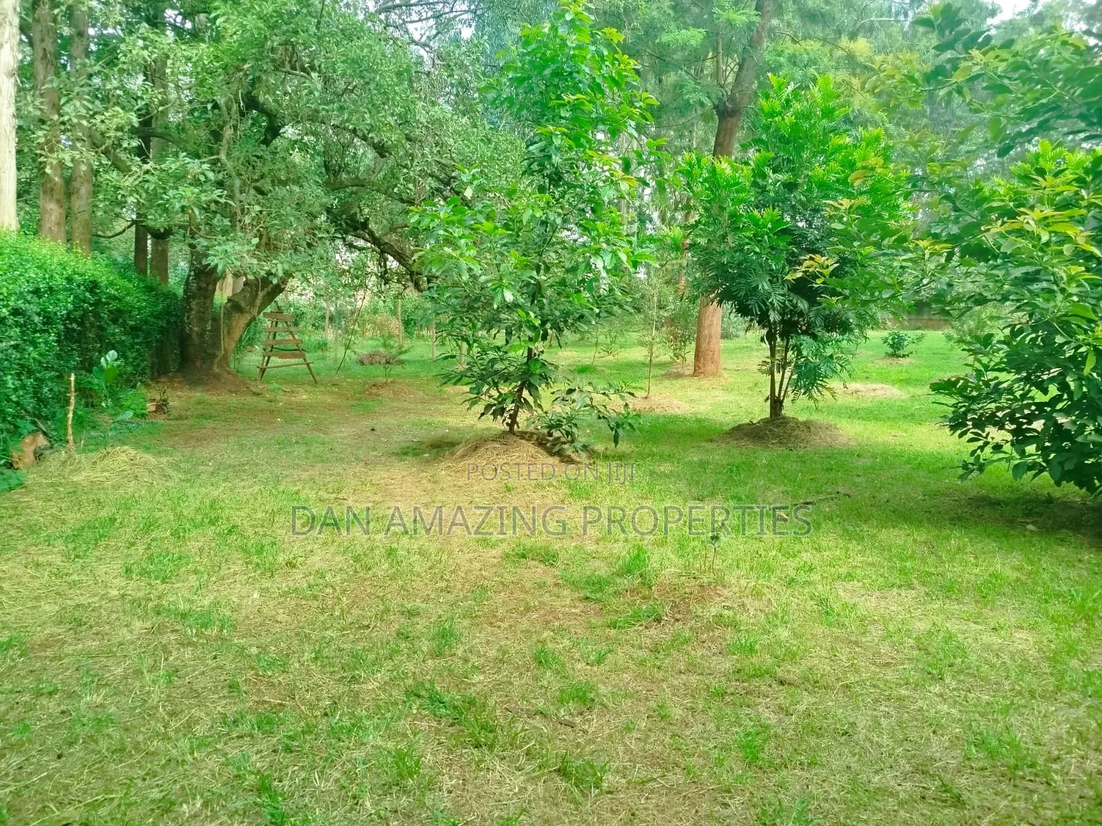 1 Acre With 2bdr Bungalow Plus DSQ Karen Windridge for Sale in Karen