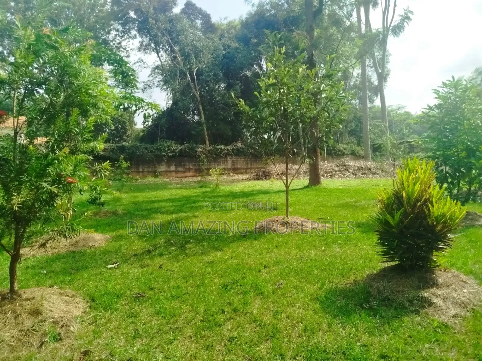 1 Acre With 2bdr Bungalow Plus DSQ Karen Windridge for Sale in Karen