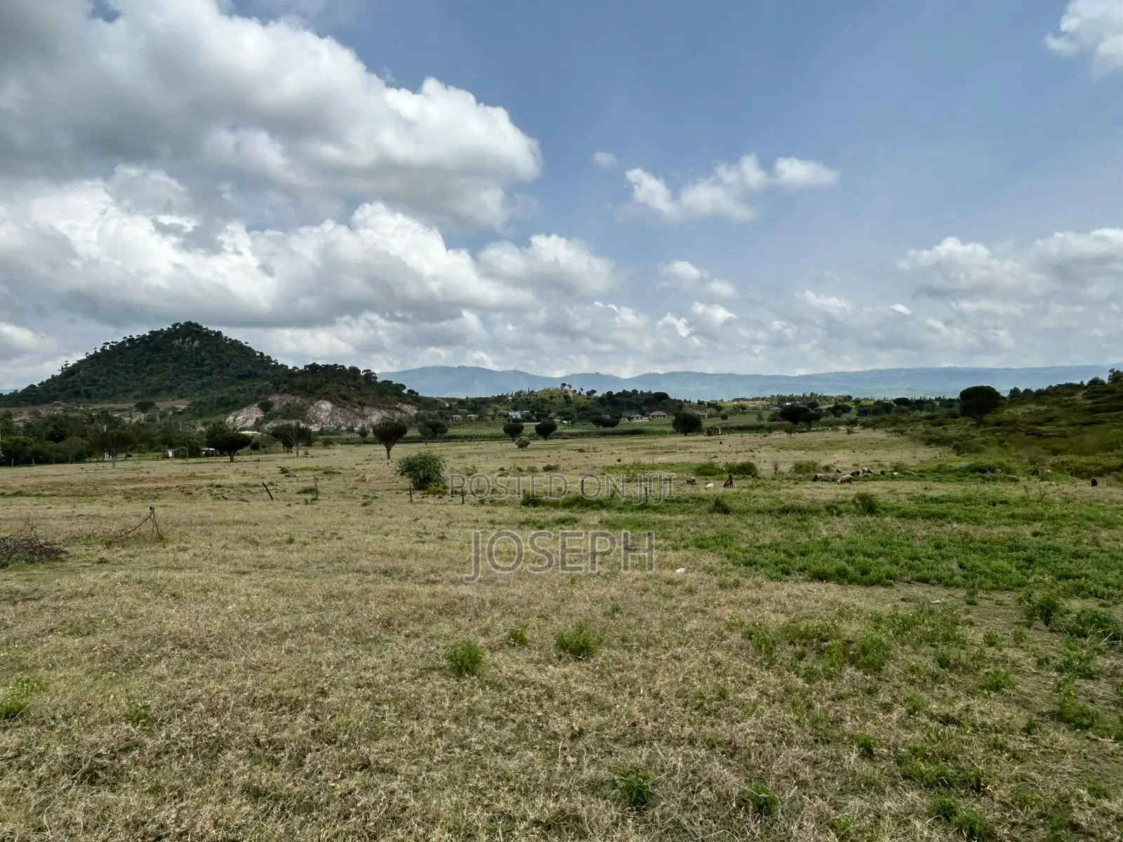 22.9-acre Moi Ndabi Farm in Naivasha - Electric Fenced in Maella