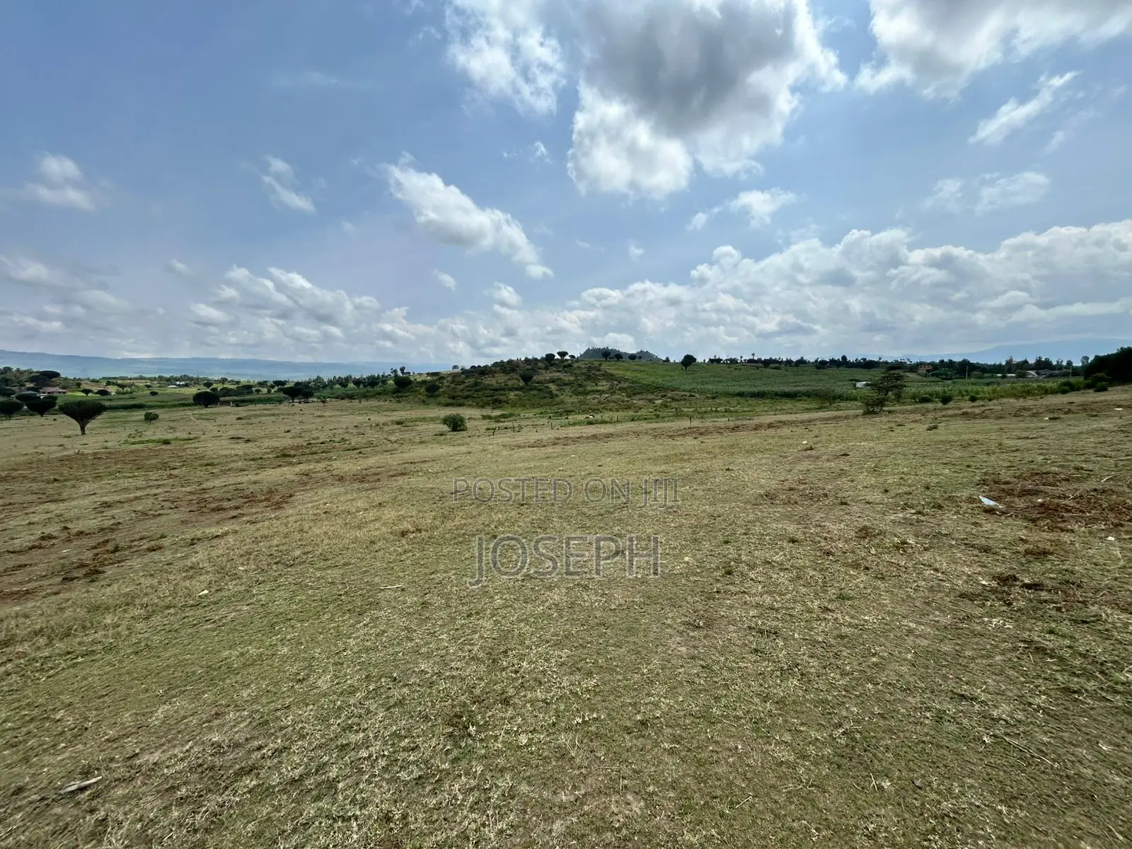 22.9-acre Moi Ndabi Farm in Naivasha - Electric Fenced in Maella