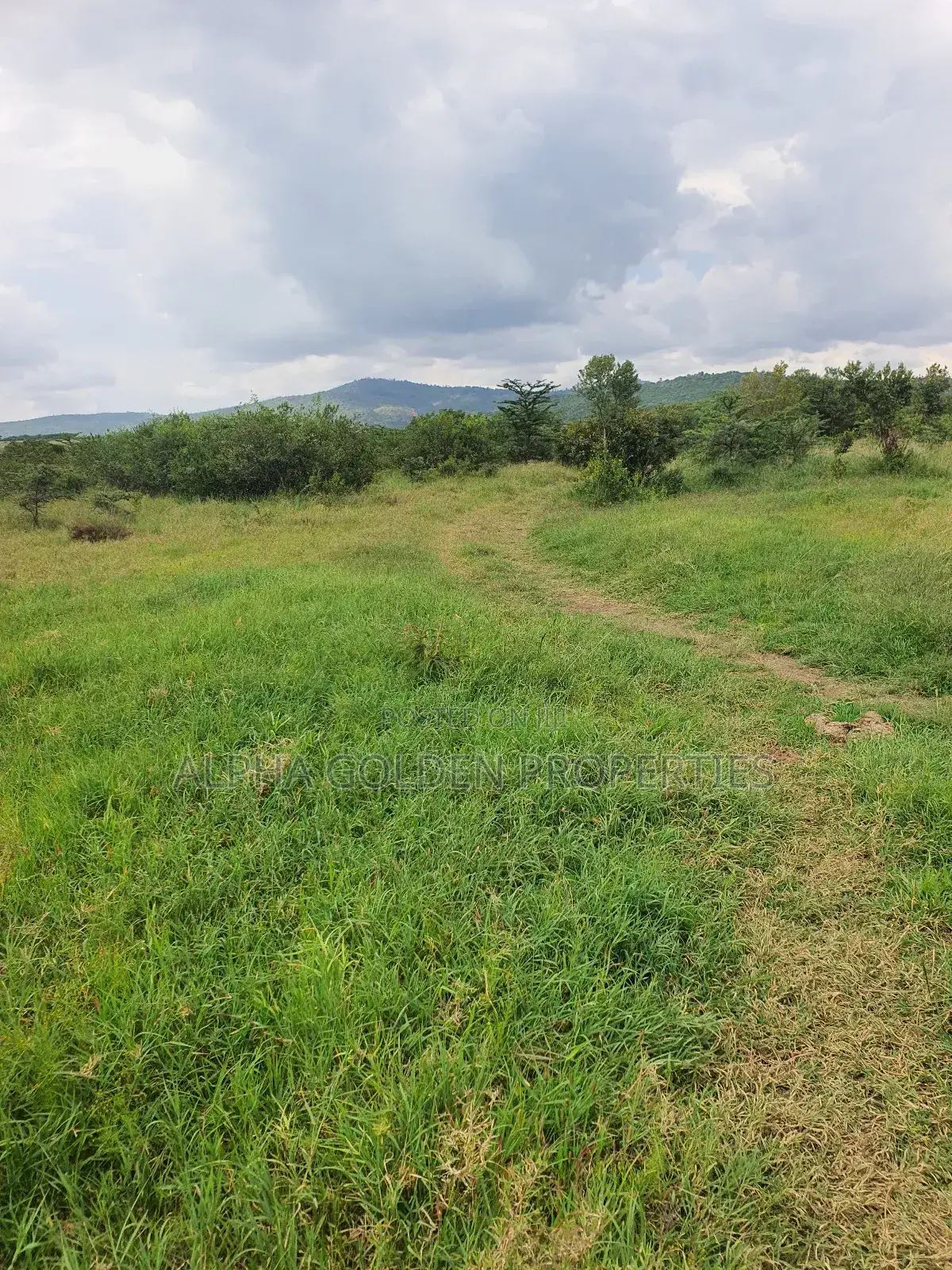 Nanyuki 230 Acres in Bahati / Laikipia Central