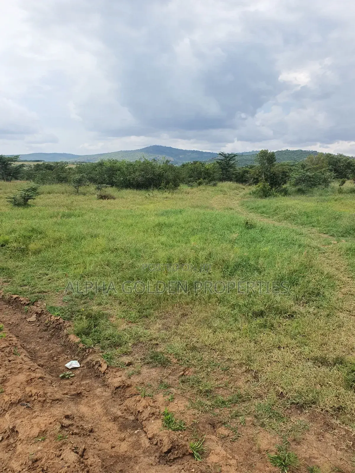 Nanyuki 230 Acres in Bahati / Laikipia Central