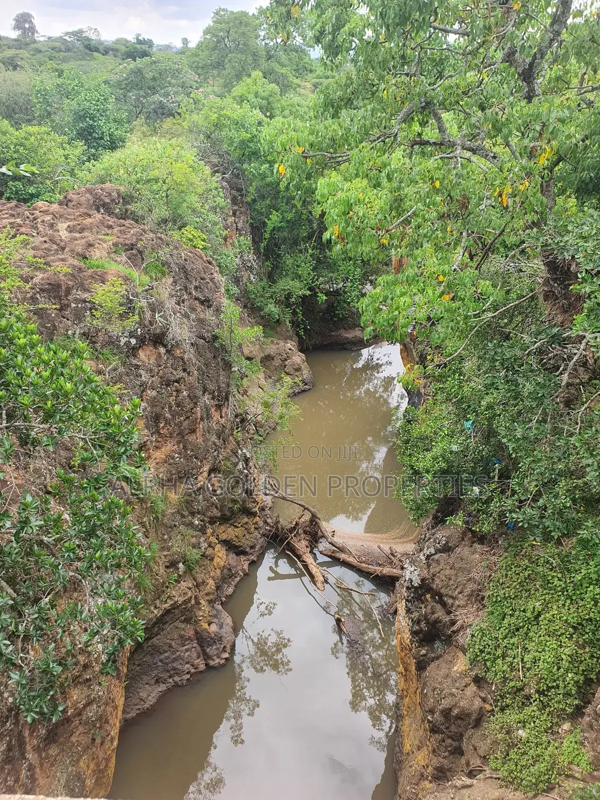 Nanyuki ,5 Acres Land Touching Tarmac and River! in Bahati / Laikipia Central