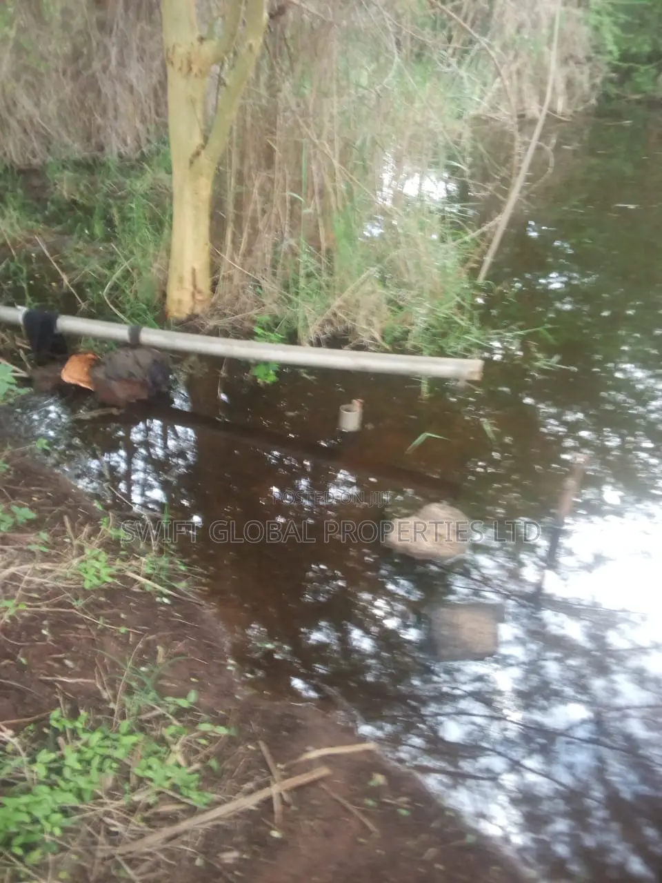 1000 Acres With Spring Water in Kiboko Makindu Is for Lease in Makindu