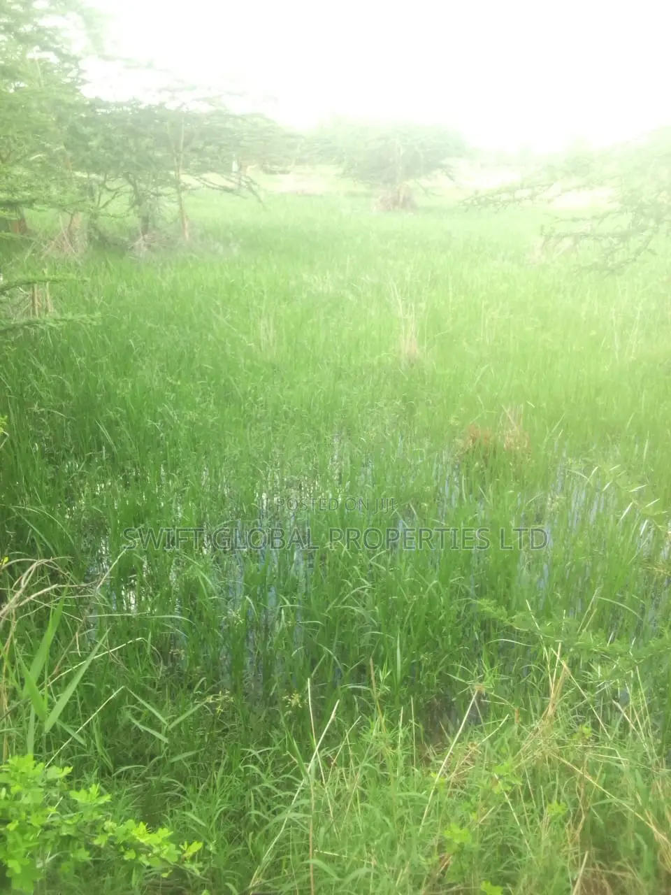 1000 Acres With Spring Water in Kiboko Makindu Is for Lease in Makindu