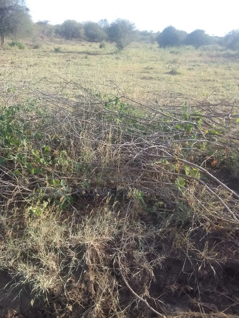 3,000 Acres of Land Is Available for Sale in Voi Town in Mackinnon Road