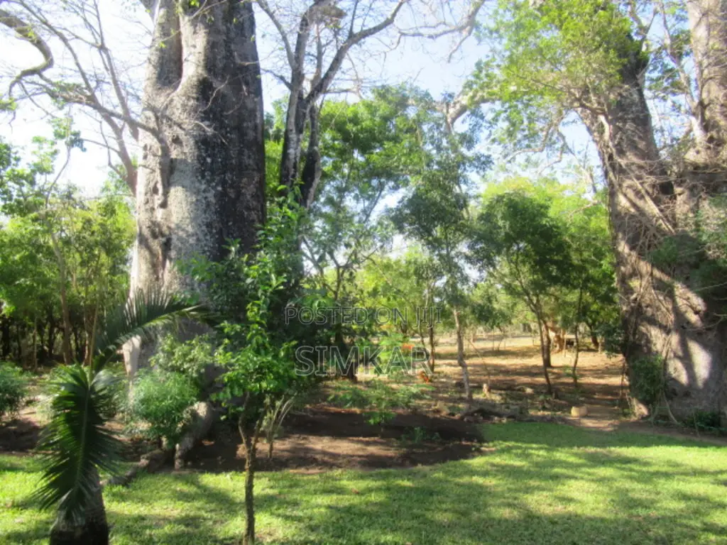 1-Acre Plots for Sale in Diani in Diani