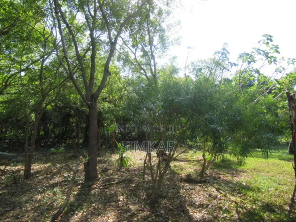 1-Acre Plots for Sale in Diani in Diani