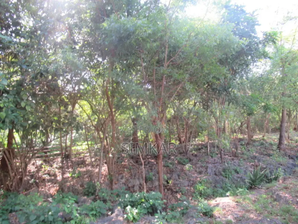1-Acre Plots for Sale in Diani in Diani
