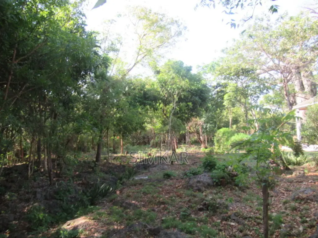 1-Acre Plots for Sale in Diani in Diani