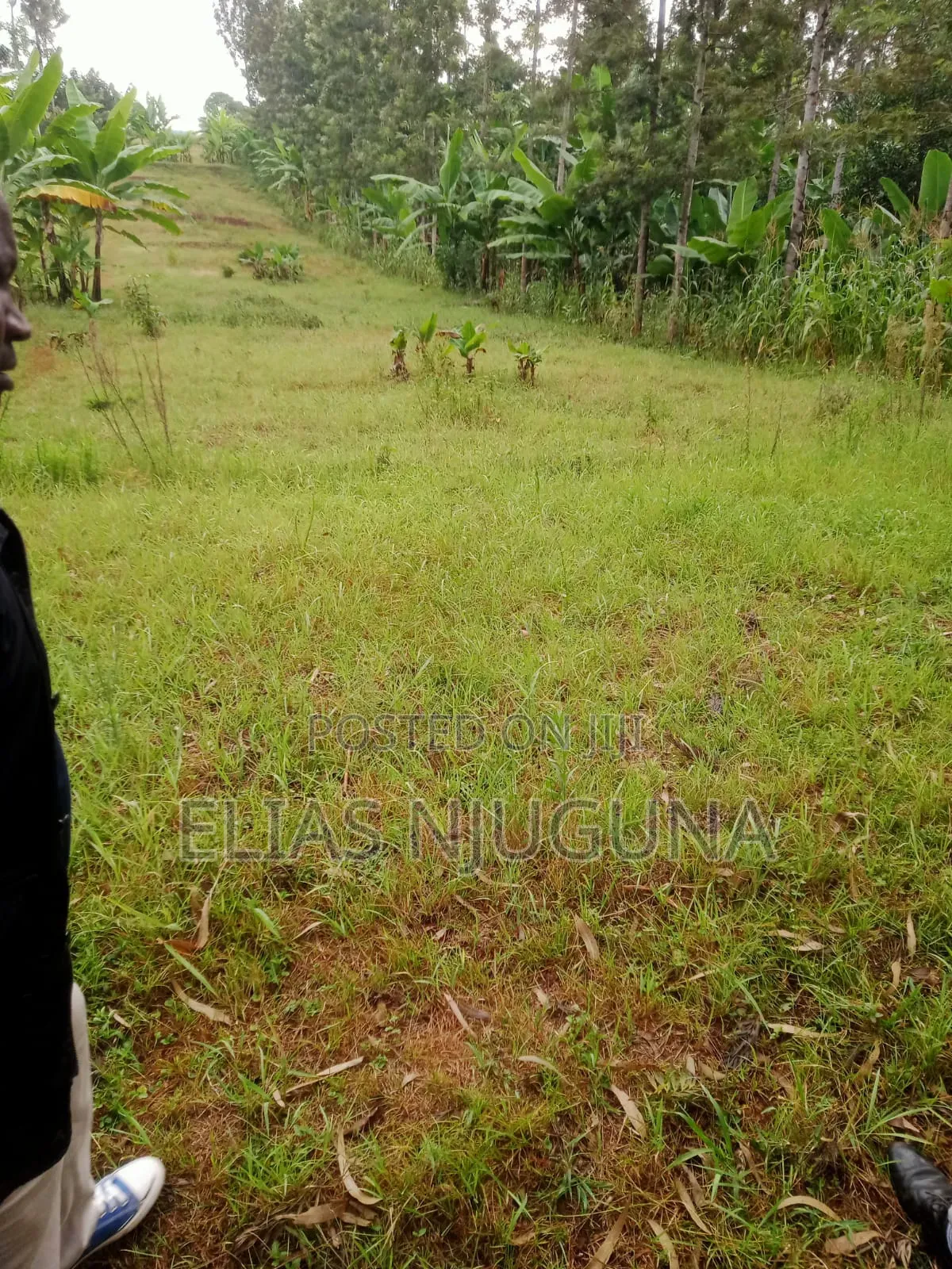 Nyandarua Rironi 5.5acre Each at KSH Negotiable. in Karau