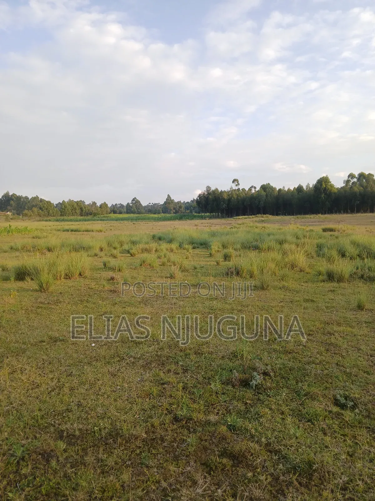 Nyandarua Rironi 5.5acre Each at KSH Negotiable. in Karau