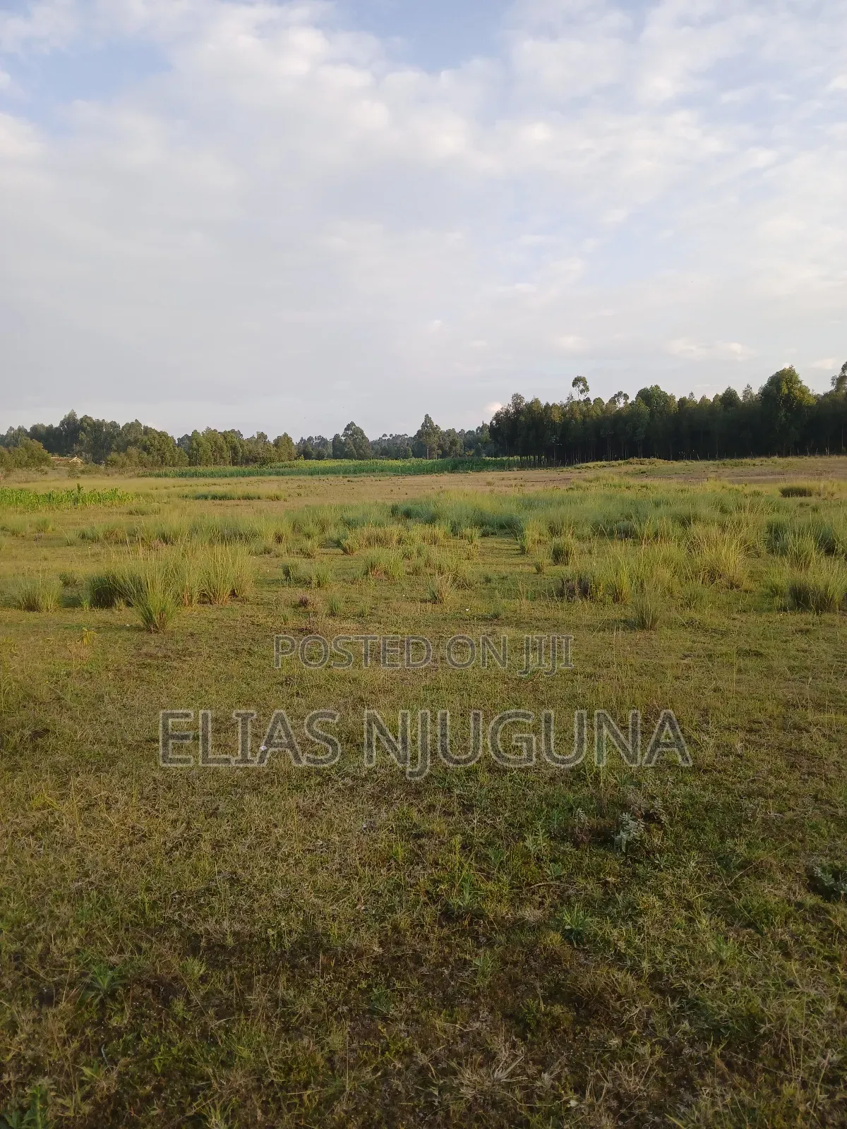 Nyandarua Rironi 5.5acre Each at KSH Negotiable. in Karau
