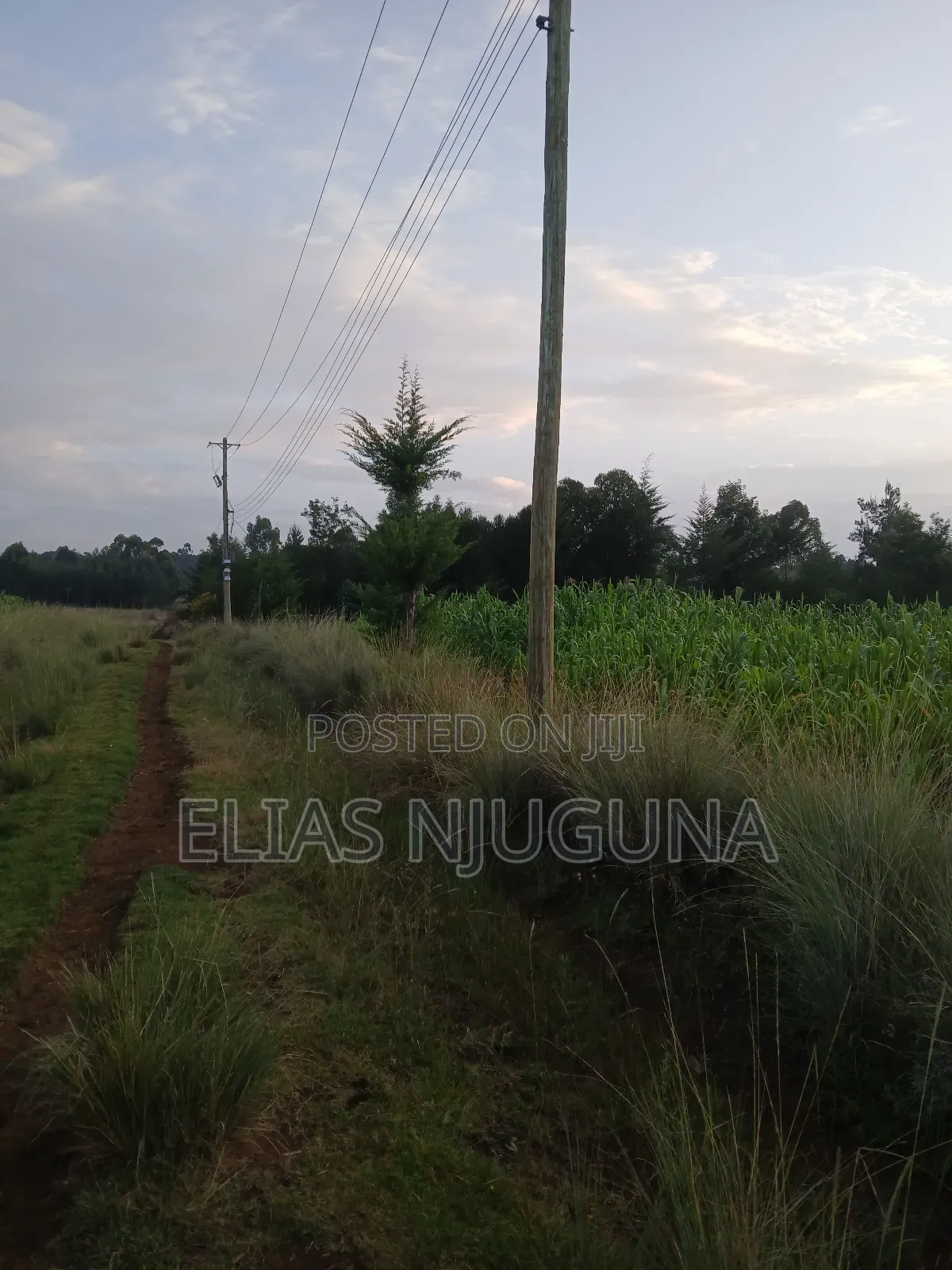 Nyahururu Maili Nne - Nyeri Rd 3acres With Free Hold Title. in Leshau Pondo