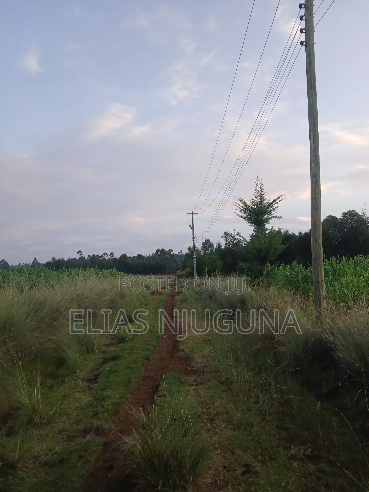 Nyahururu Maili Nne - Nyeri Rd 3acres With Free Hold Title. in Leshau Pondo