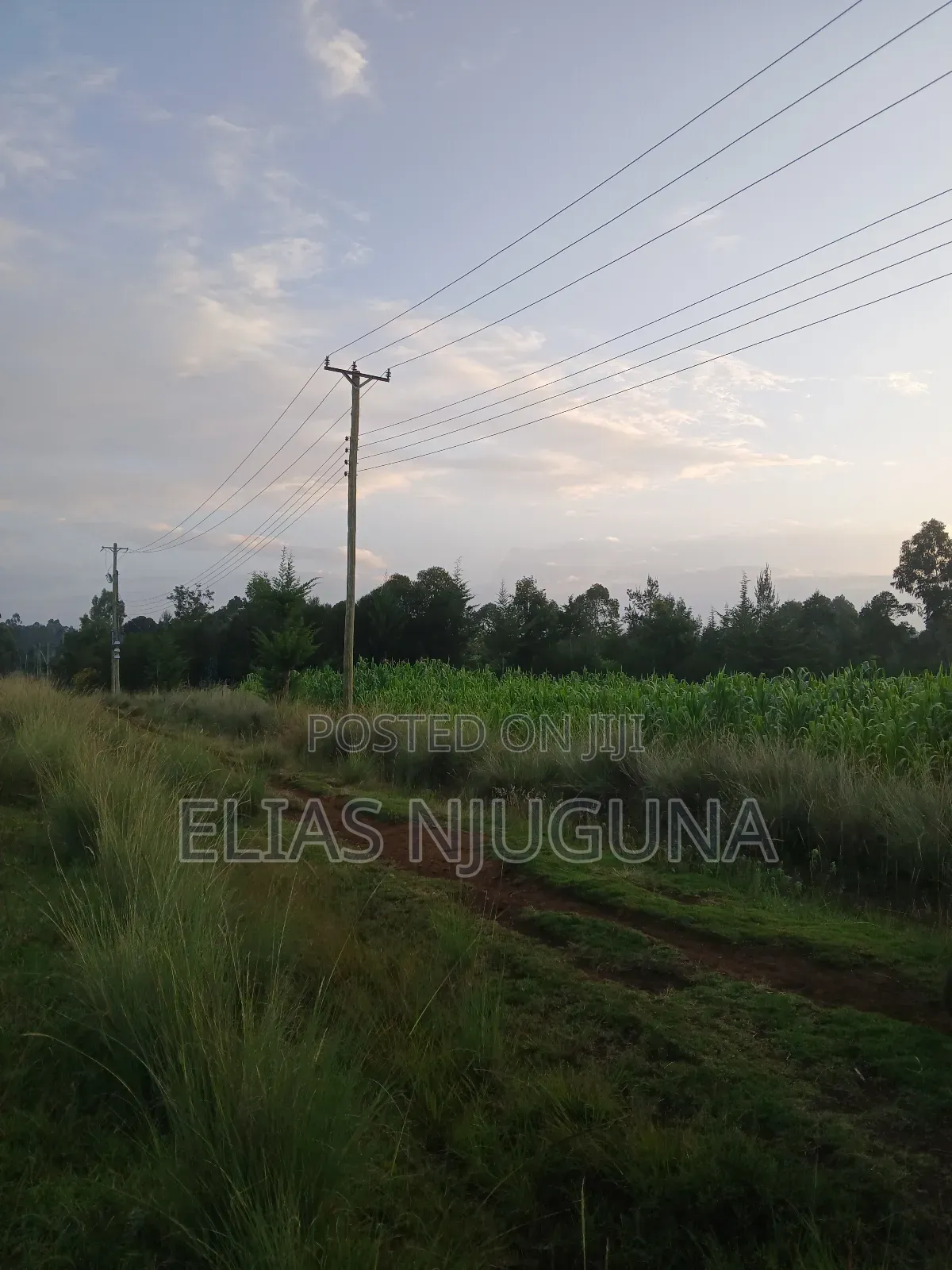 Nyahururu Maili Nne - Nyeri Rd 3acres With Free Hold Title. in Leshau Pondo