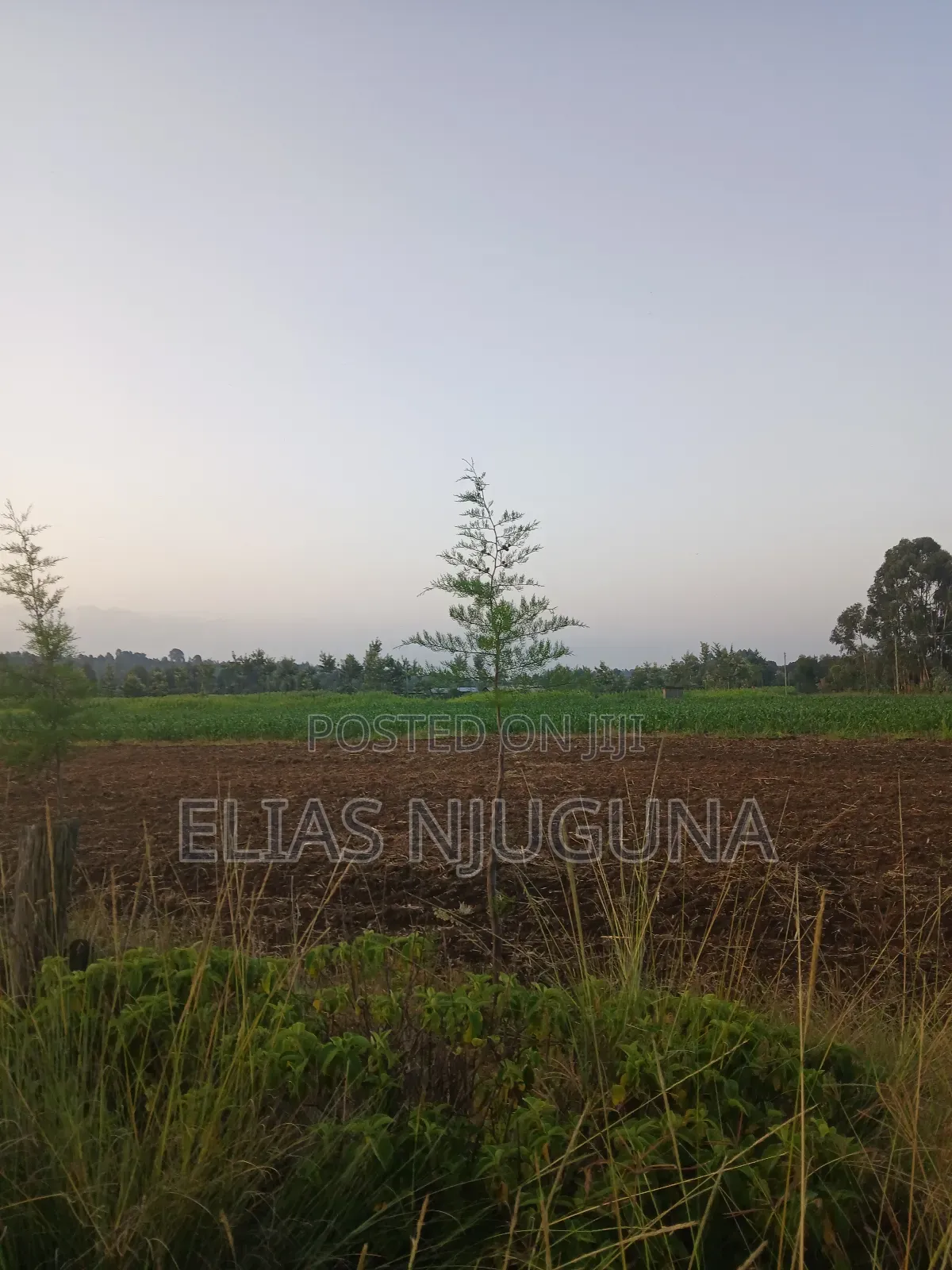 Nyahururu Maili Nne - Nyeri Rd 3acres With Free Hold Title. in Leshau Pondo