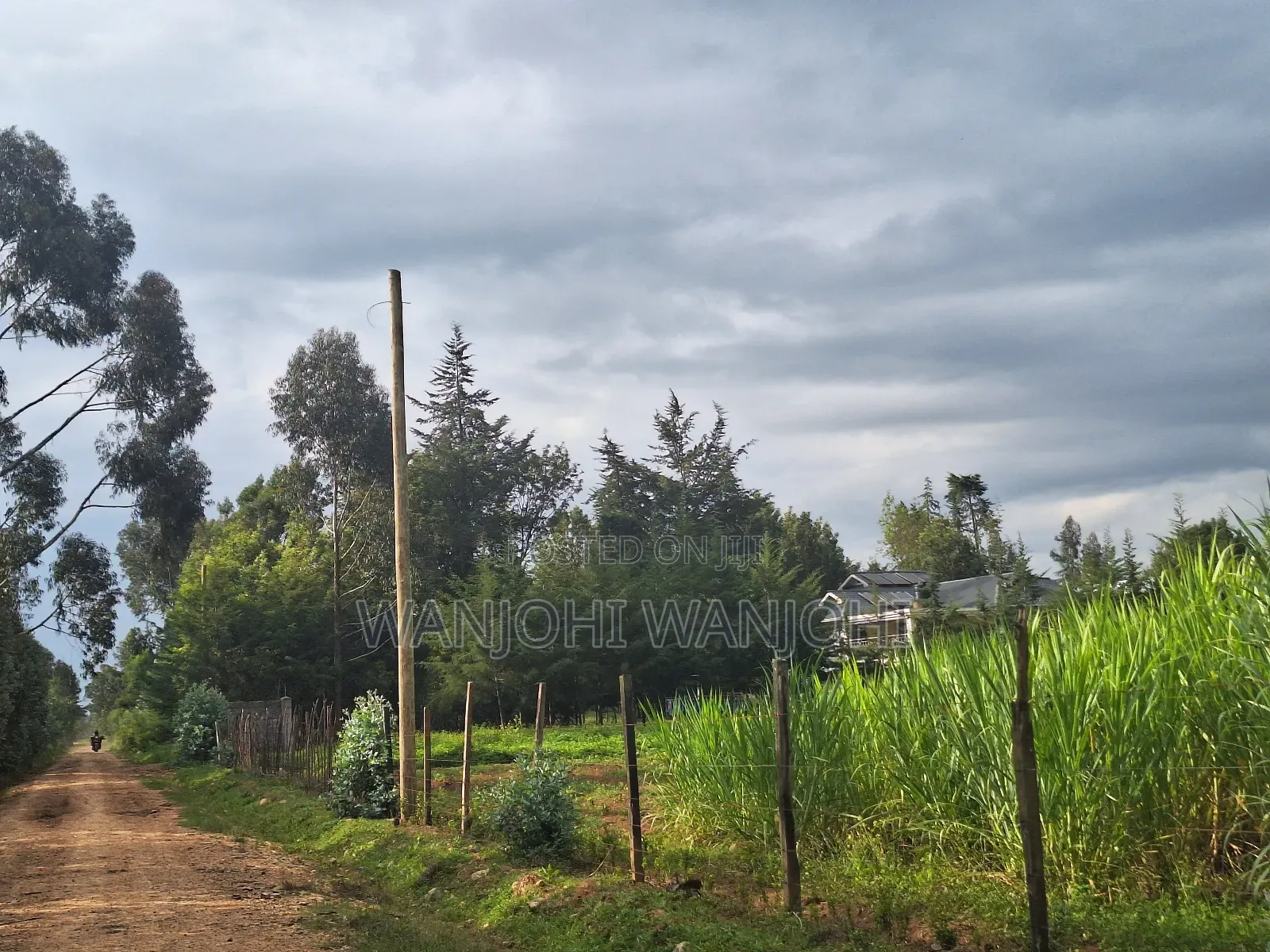 1/2 Acre Plots in Nyahururu in Igwamiti