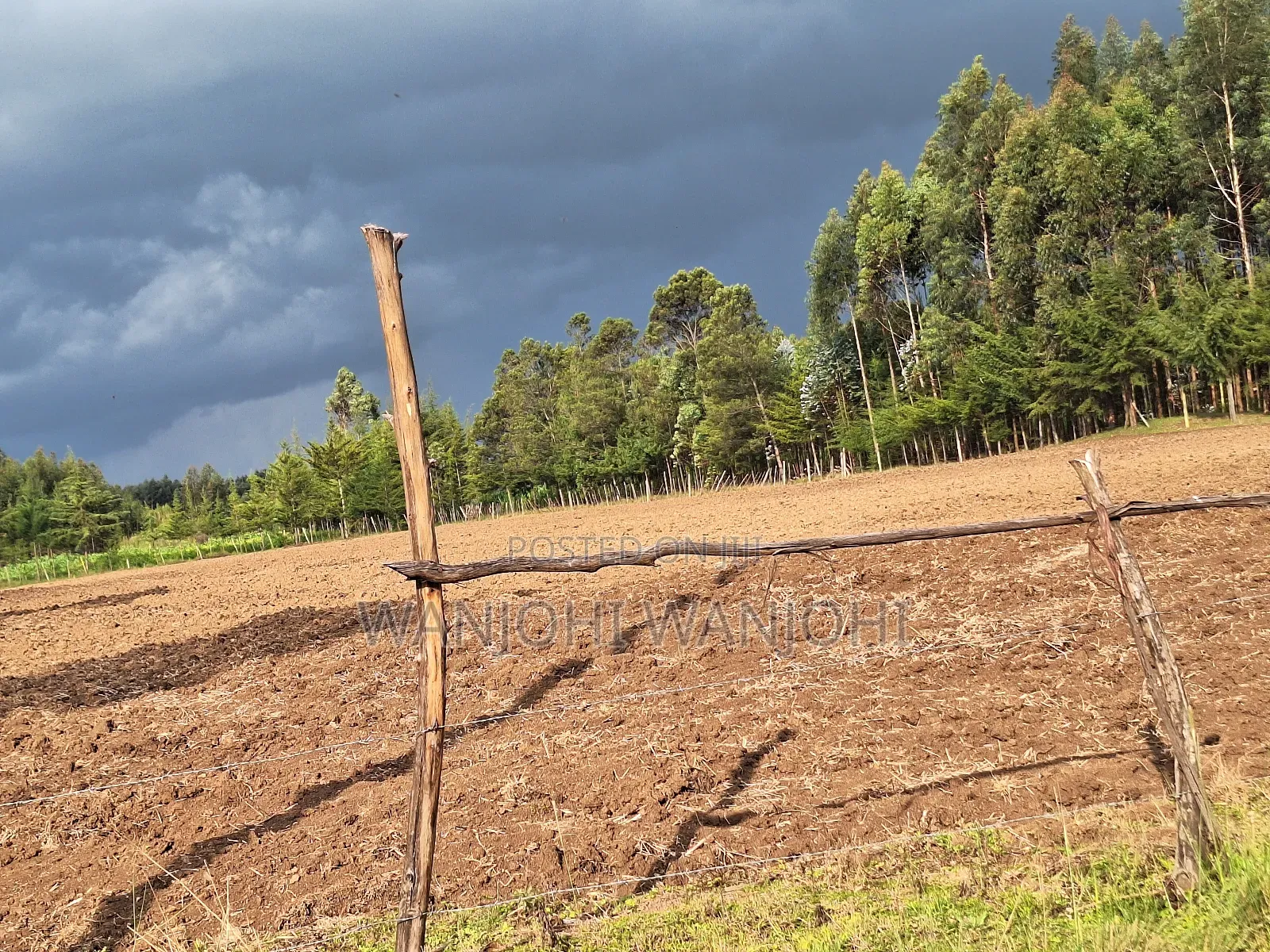 1/2 Acre Plots in Nyahururu in Igwamiti