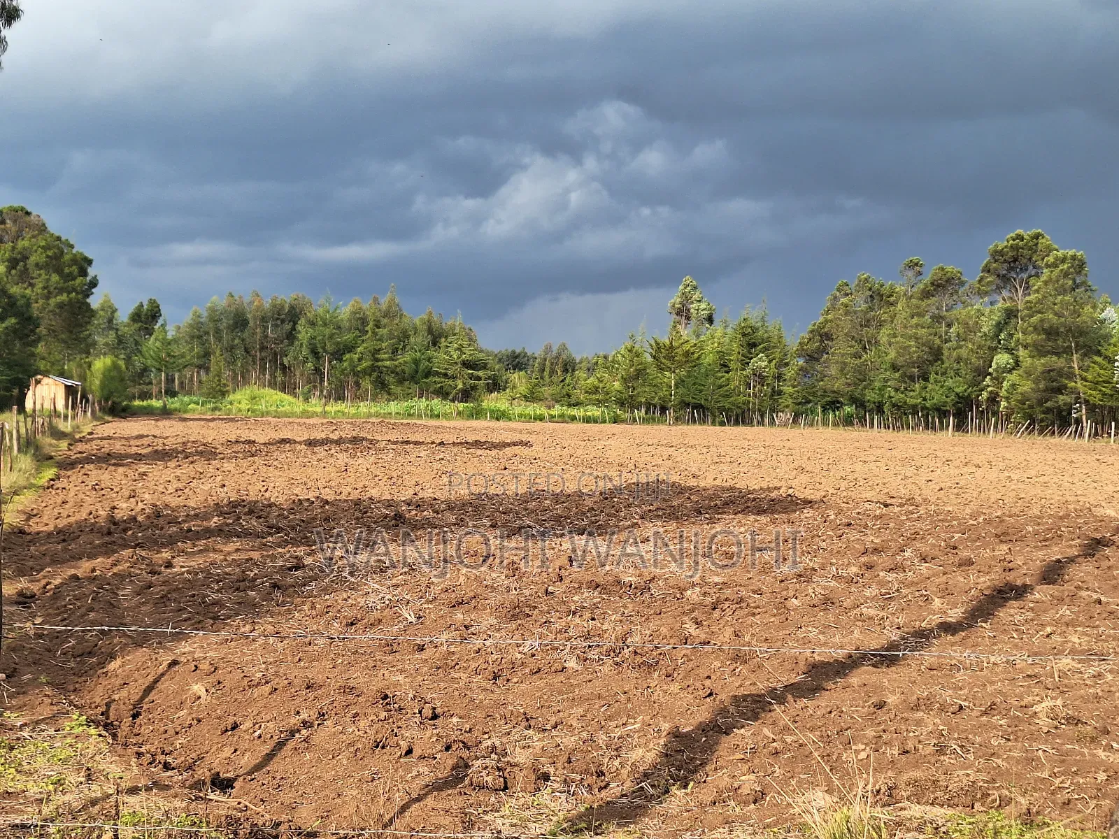 1/2 Acre Plots in Nyahururu in Igwamiti