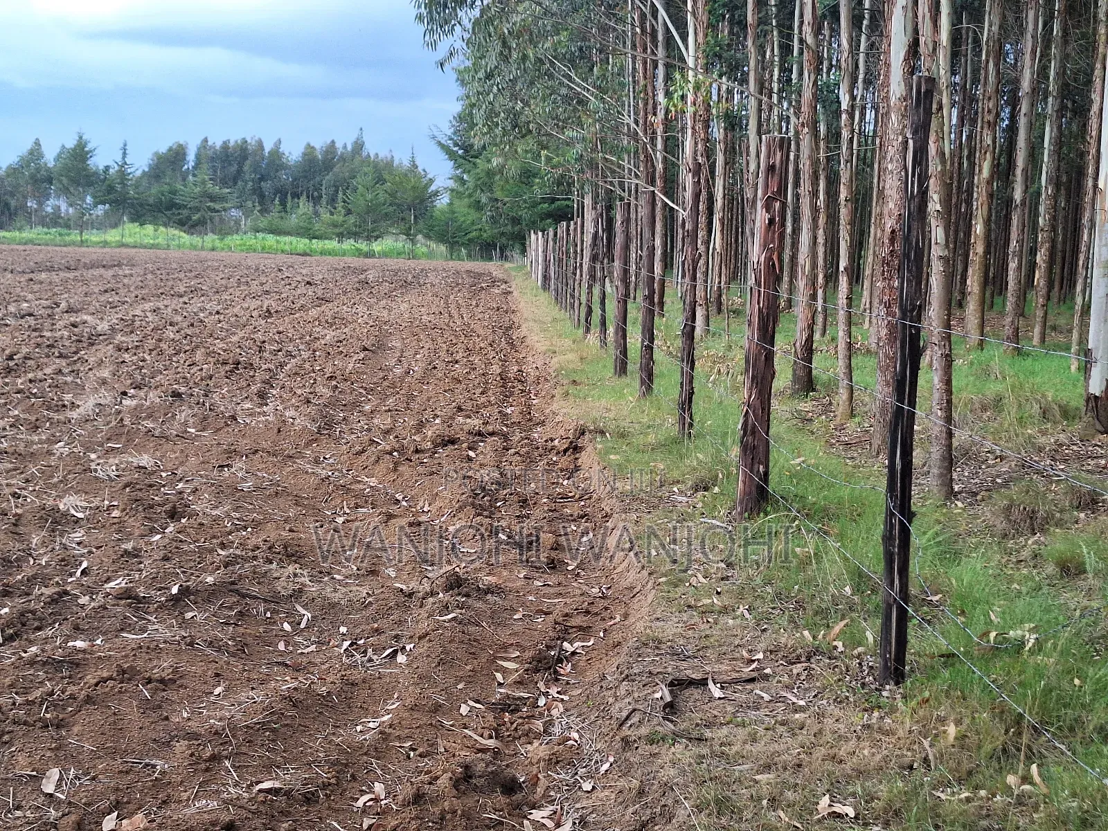 1/2 Acre Plots in Nyahururu in Igwamiti