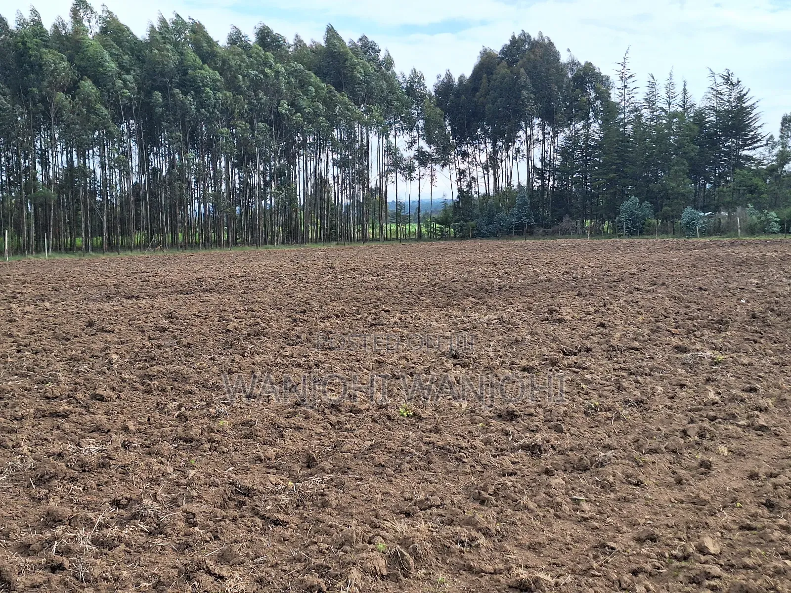 0.5 Acre Plots in Gatimu in Gatimu