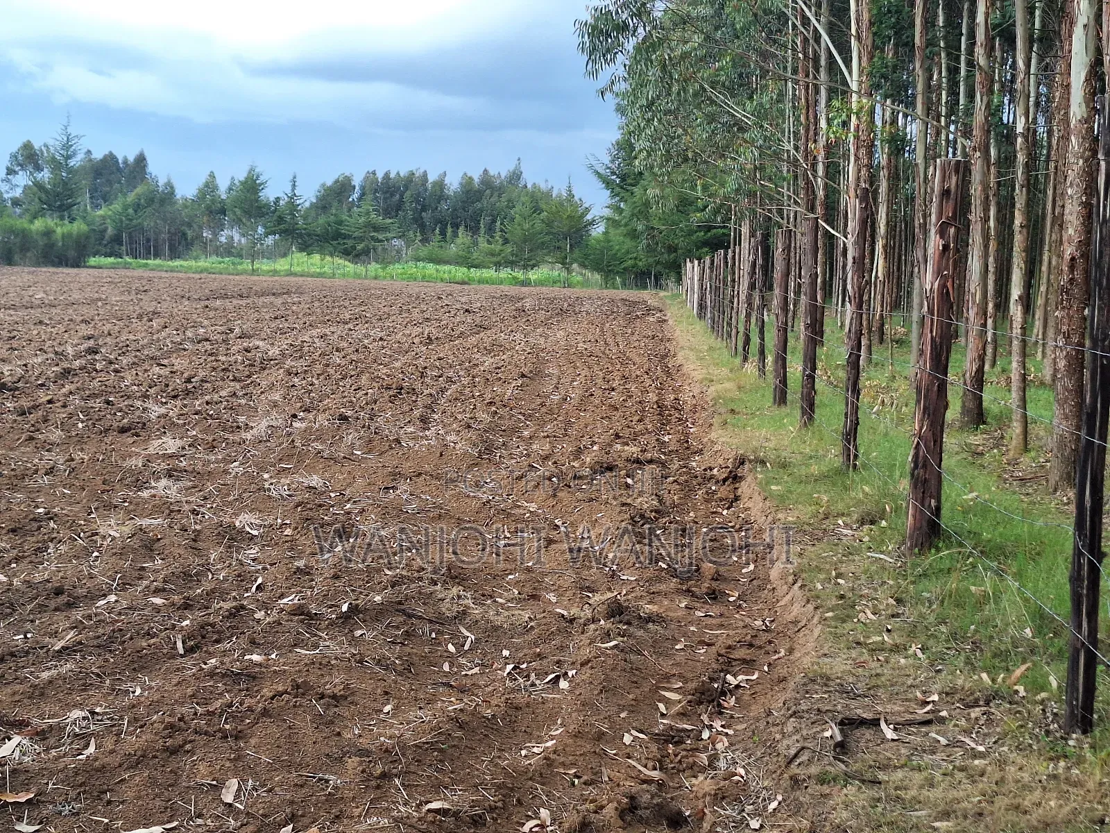 Half Acre Plots in Nyahururu in Karau