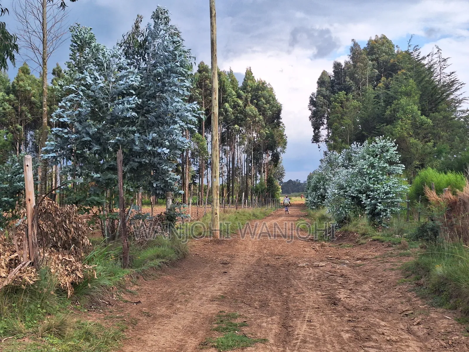 Half Acre Plots in Nyahururu in Karau