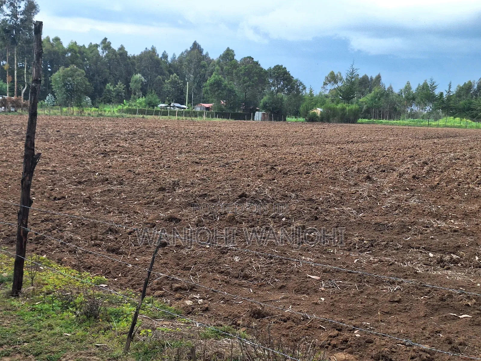 Half Acre Plots in Nyahururu in Karau