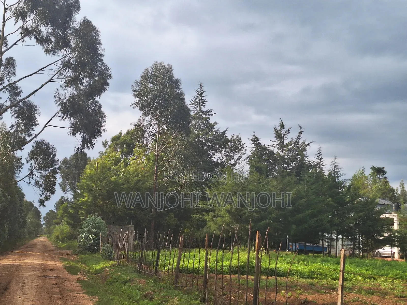 1/4 Acre Plots in Nyahururu in Igwamiti