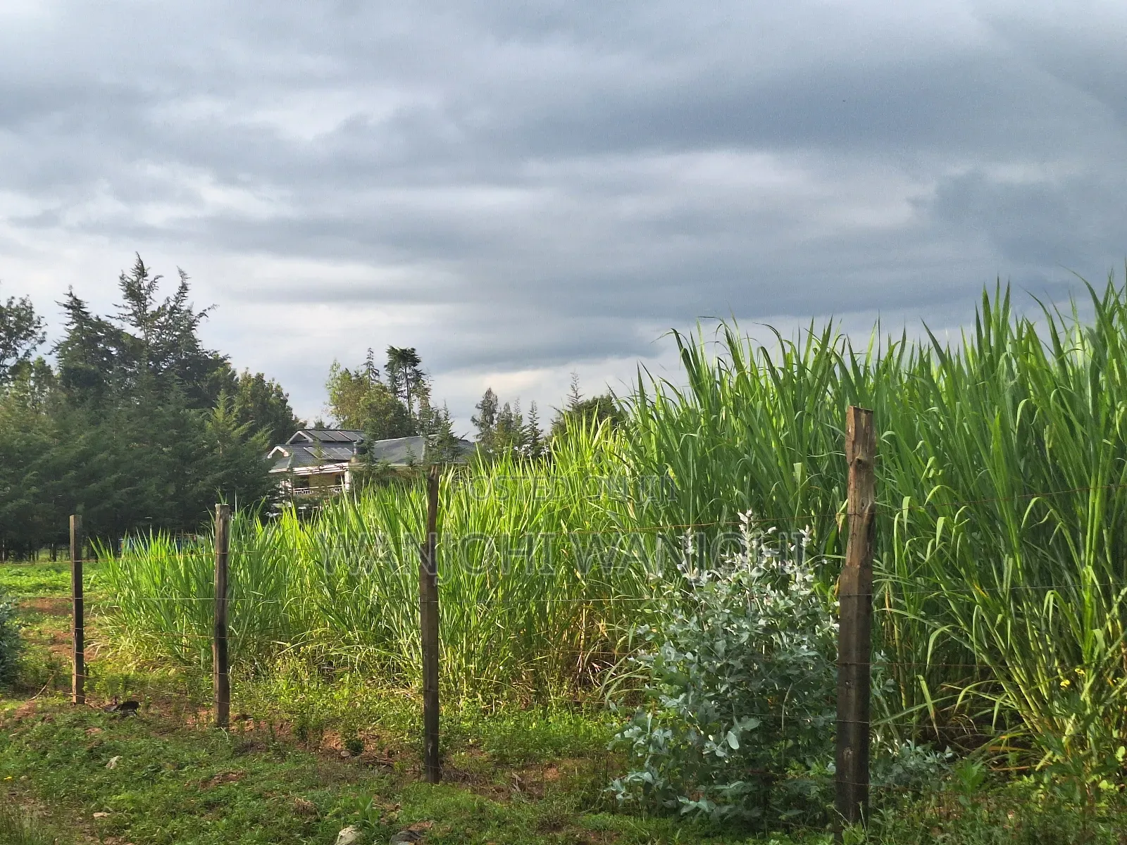 1/4 Acre Plots in Nyahururu in Igwamiti