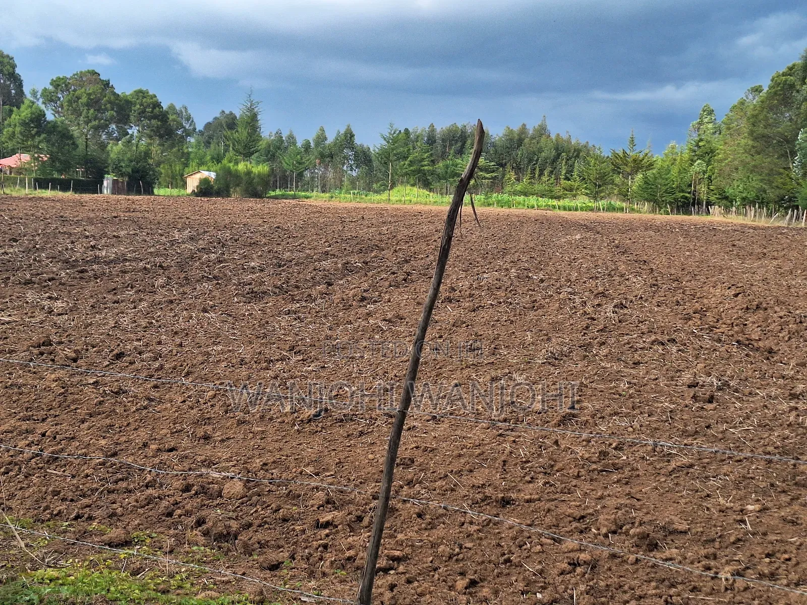 Quarter Acre Plots Nyahururu Township in Gatimu