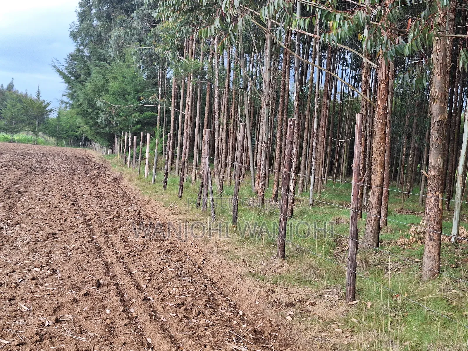 Quarter Acre Plots Nyahururu Township in Gatimu