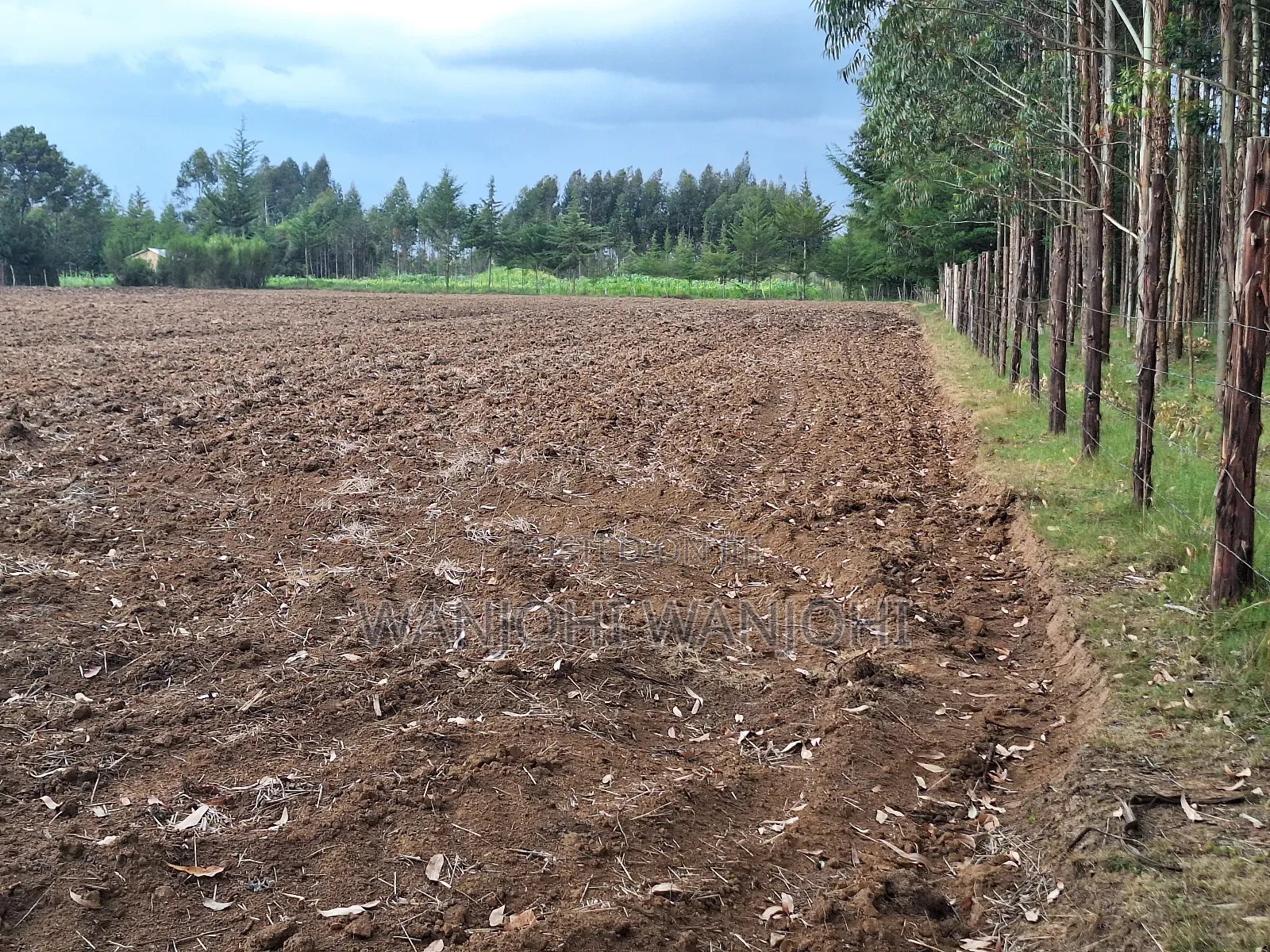 Quarter Acre Plots Nyahururu Township in Gatimu